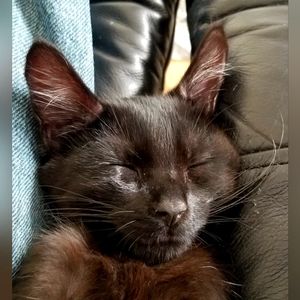 Meet your Posher, Valerie